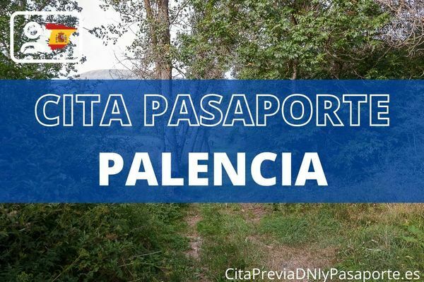 Cita previa pasaporte Palencia