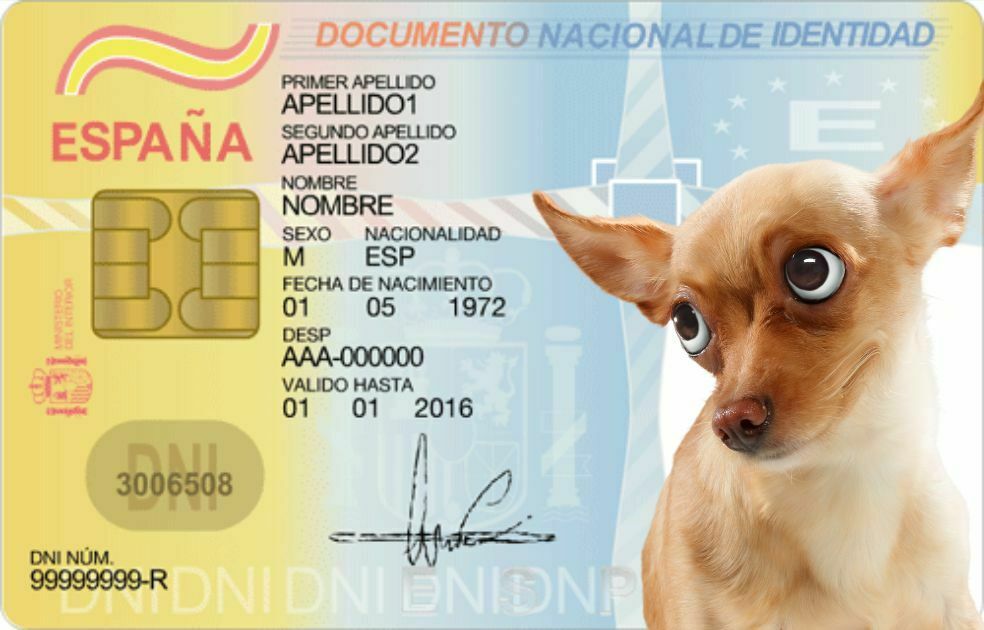 El nuevo documento nacional de identidad que tendrán que llevar las mascotas
